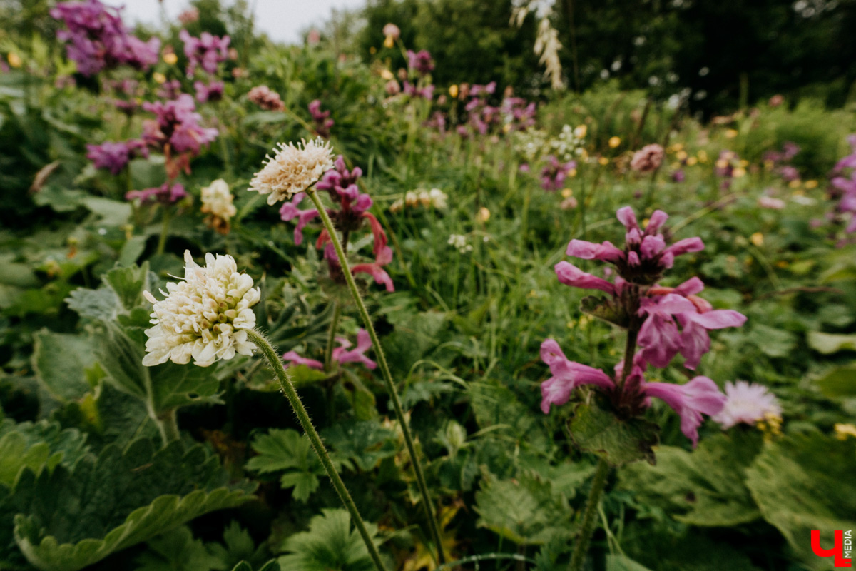 «Лучше гор бывают только горы» — эта присказка знакома каждому, кто хоть раз бывал на юге. Проверим её на практике. Как подготовиться к путешествию по вершинам, чего от него ожидать и стоит ли вообще отправляться на рискованную прогулку? Испытано на себе. Фотографии, от которых кружится голова, прилагаются.