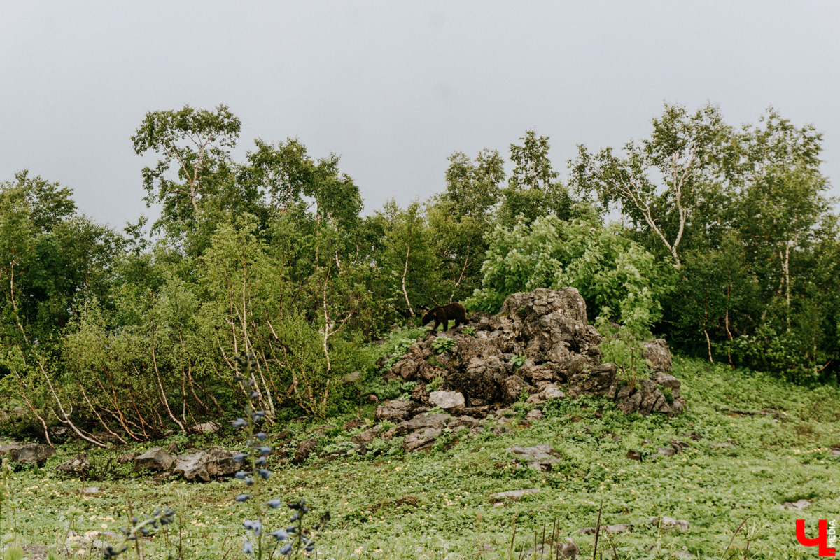 «Лучше гор бывают только горы» — эта присказка знакома каждому, кто хоть раз бывал на юге. Проверим её на практике. Как подготовиться к путешествию по вершинам, чего от него ожидать и стоит ли вообще отправляться на рискованную прогулку? Испытано на себе. Фотографии, от которых кружится голова, прилагаются.
