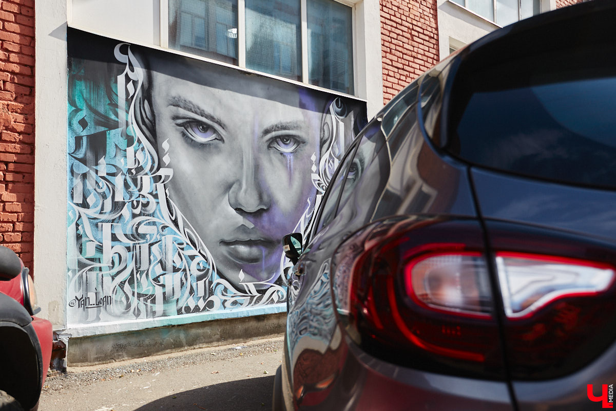 В коллекции владимирских стрит-артов прибавление – сразу плюс три новых рисунка. Все они сделаны профессиональными художниками в рамках фестиваля уличного искусства «Загфест».