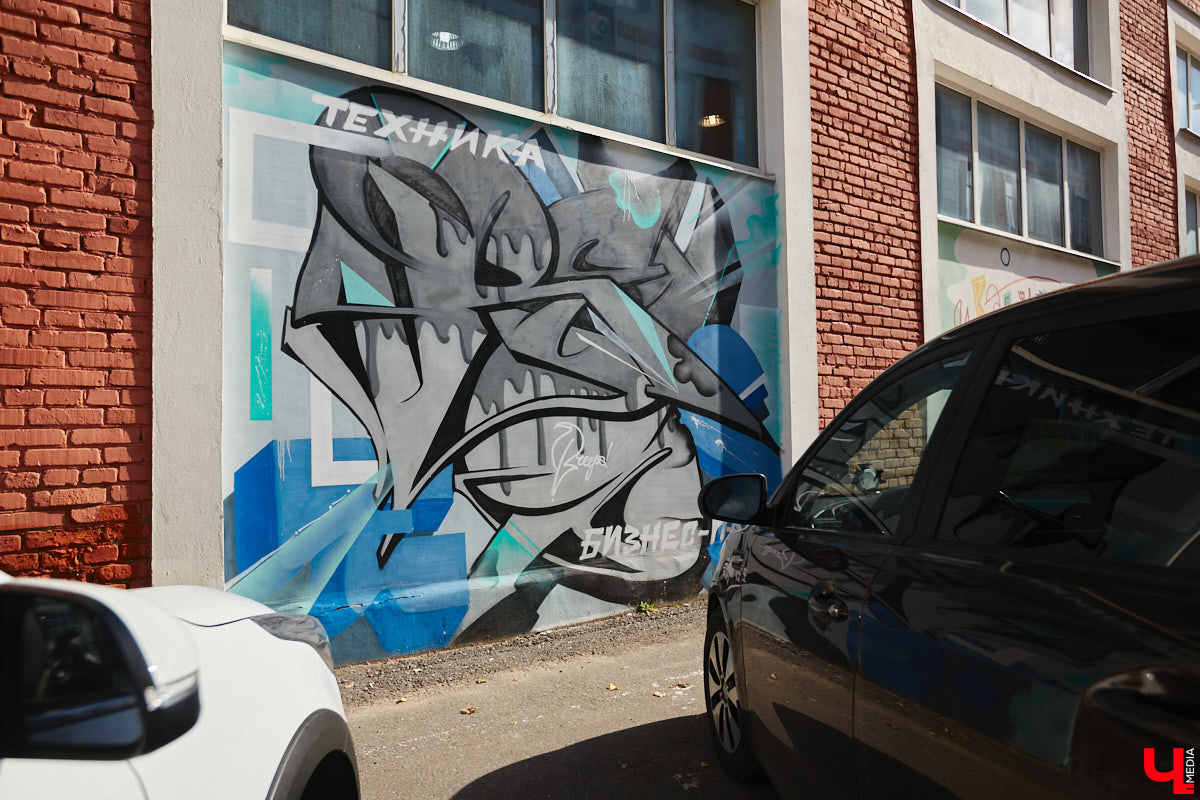 В коллекции владимирских стрит-артов прибавление – сразу плюс три новых рисунка. Все они сделаны профессиональными художниками в рамках фестиваля уличного искусства «Загфест».