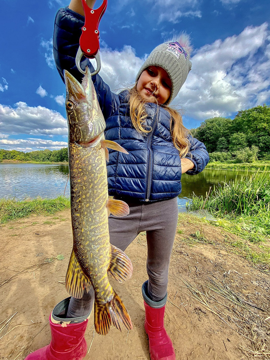 Осень – отличное время для того, чтобы провести выходные на берегу с удочкой или спиннингом. Тем более, что с первыми холодами у хищной рыбы начался жор. Особенно радует щука в Клязьме. Владимирским рыбакам есть чем похвастаться!