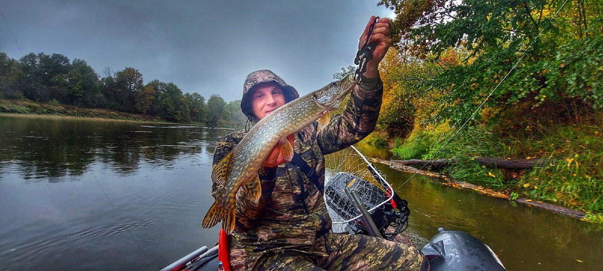 Осень – отличное время для того, чтобы провести выходные на берегу с удочкой или спиннингом. Тем более, что с первыми холодами у хищной рыбы начался жор. Особенно радует щука в Клязьме. Владимирским рыбакам есть чем похвастаться!