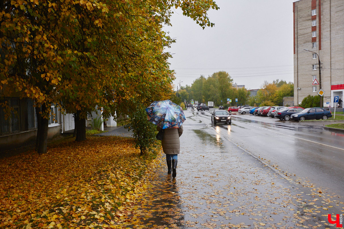 2 октября в 1914 году во Владимире родился Юрий Левитан, легендарный диктор Всесоюзного радио. И воздействие его голоса на советских людей было огромным. Поэтому неудивительно, что в нашем городе появилась улица его имени, которая год от года все больше превращается в мемориальную. Давайте прогуляемся по ней и посмотрим, сколько там памятников «голосу истории» и объектов, носящих его имя.