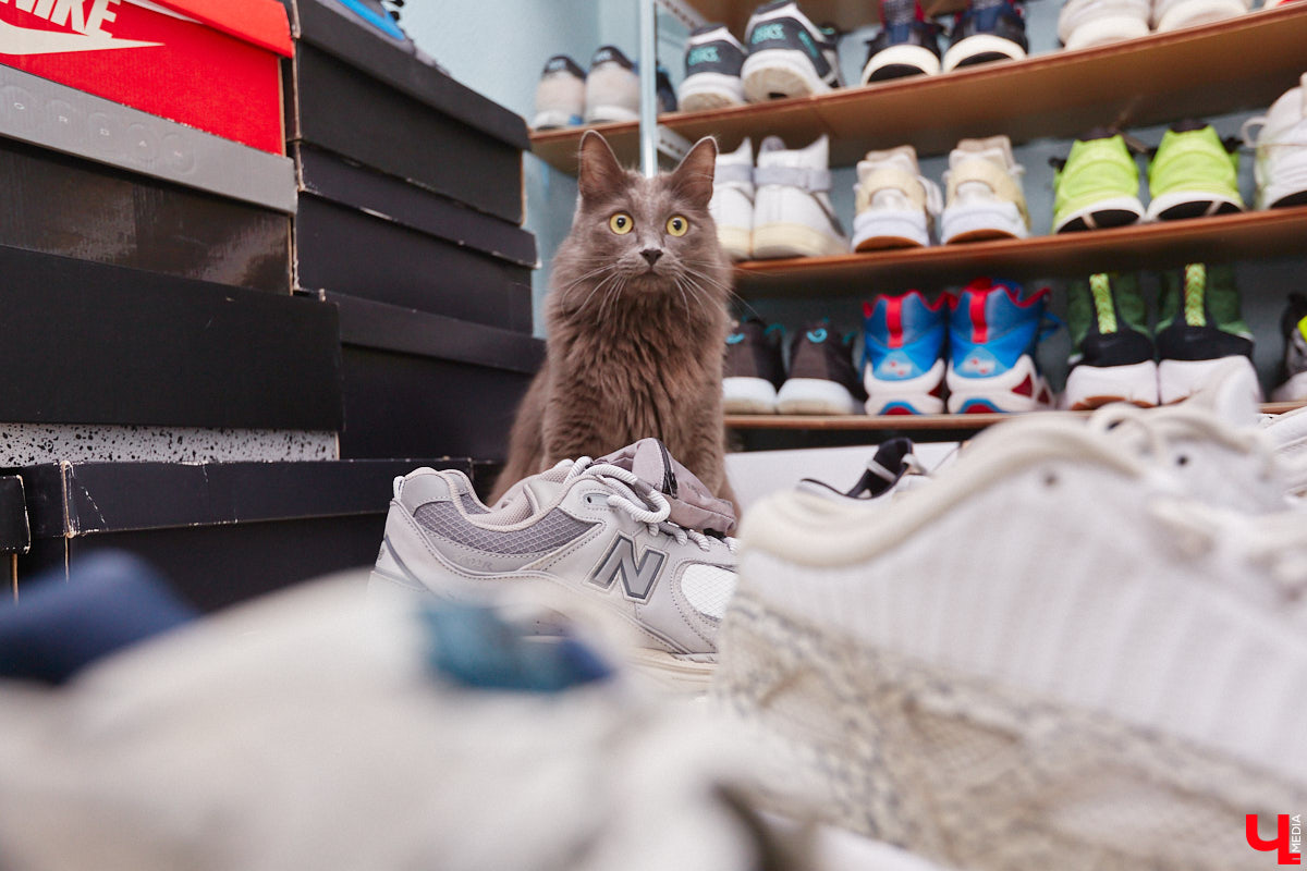 Вы знаете, кто такой «сникерхед»? Это человек, который коллекционирует кроссовки. У жителя Владимира Александра Чунаева, например, ровно сто уникальных моделей. И все их молодой человек носит по очереди.