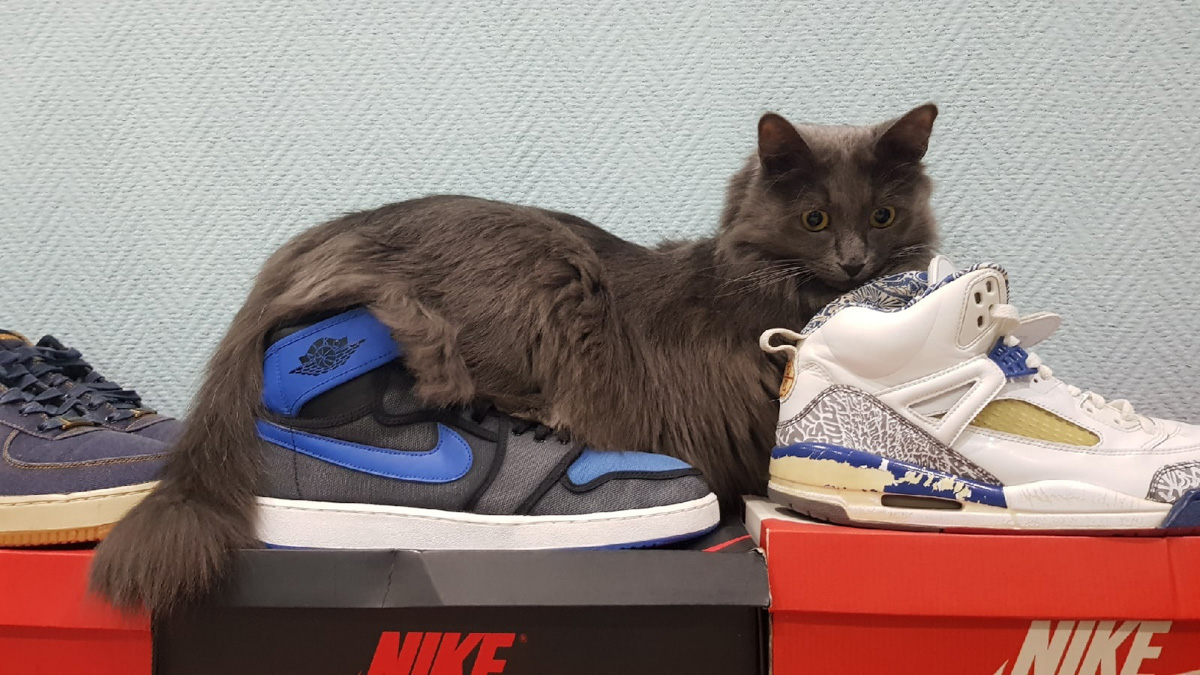 Вы знаете, кто такой «сникерхед»? Это человек, который коллекционирует кроссовки. У жителя Владимира Александра Чунаева, например, ровно сто уникальных моделей. И все их молодой человек носит по очереди.