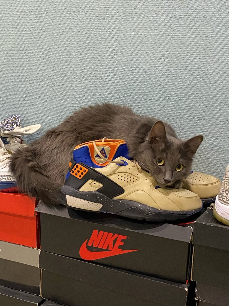 Вы знаете, кто такой «сникерхед»? Это человек, который коллекционирует кроссовки. У жителя Владимира Александра Чунаева, например, ровно сто уникальных моделей. И все их молодой человек носит по очереди.