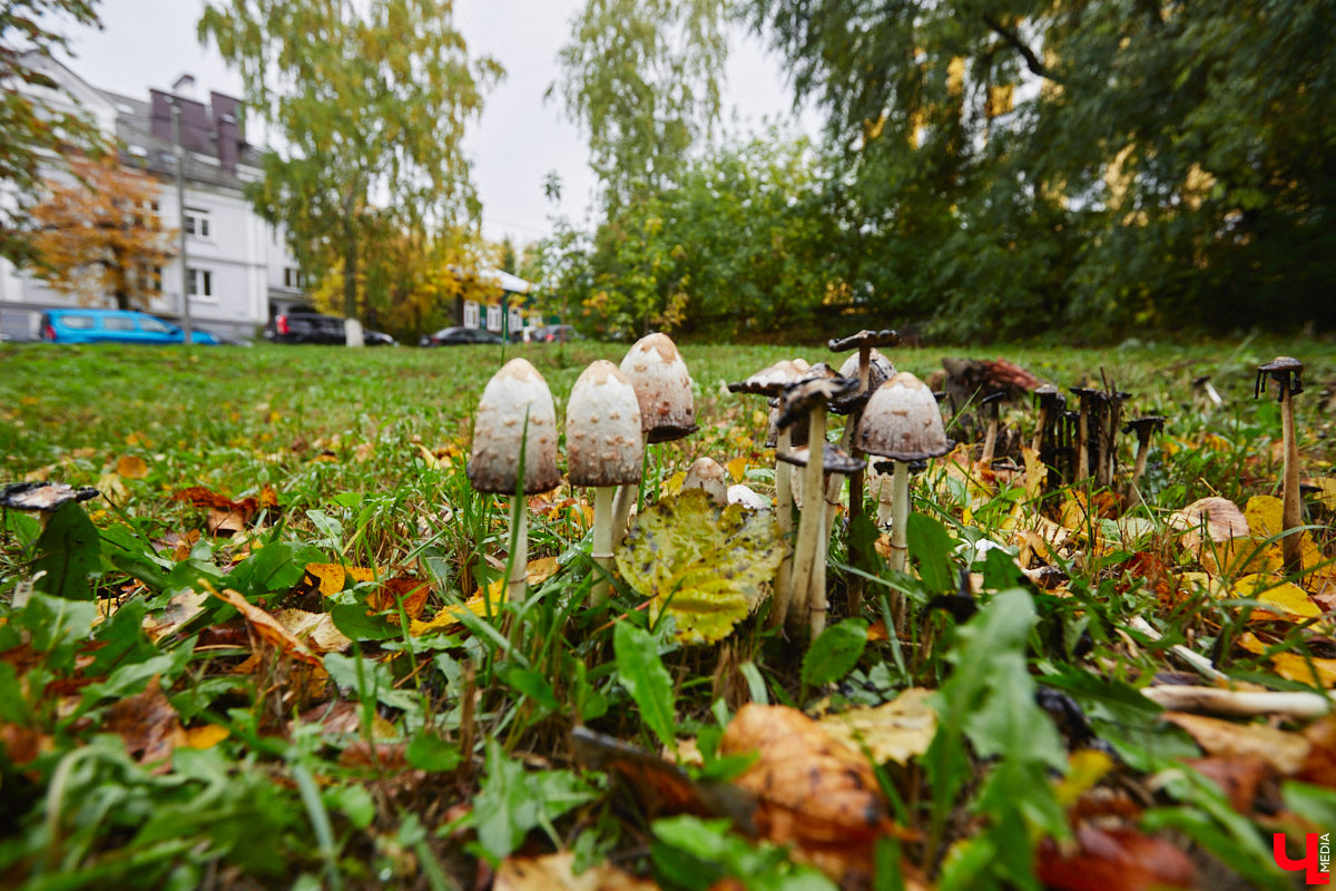 Пустыри в городе постепенно обрастают стройками. Работы одновременно ведутся на самых разных площадках. И какие-то объекты даже близки к завершению. «Ключ-Медиа» проехался по самым знаковым точкам.