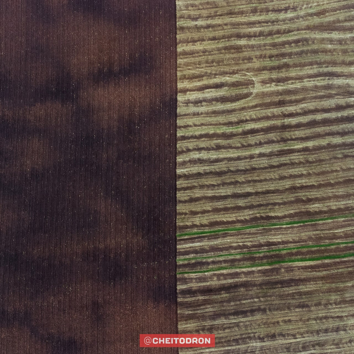 Рпенский проезд, М-12, спальные микрорайоны, вспаханное поле под Владимиром, опутанная проводами просека – привычные места, оказывается, тоже могут удивлять. То, что с земли кажется скучным, с высоты птичьего полёта вдруг становится красивым и притягательным. Тайны знакомых нам мест раскрыли пилоты квадрокоптеров, создавшие анонимный телеграм-канал «Чей-то дрон».