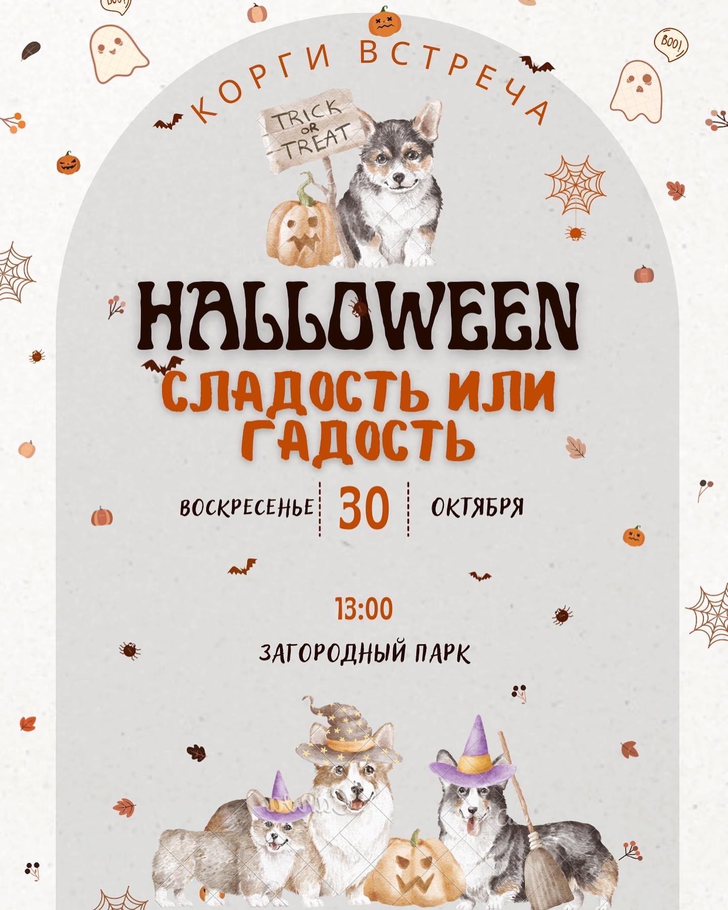 Помните, когда состоялась первая корги-туса во Владимире? Практически год назад! Дебютный костюмированный ивент Татьяны Ванькиной был приурочен ко Дню Всех Святых. И к грядущему Хэллоуину организатор подготовилась. Праздник обещает быть более масштабным, чем все предыдущие! Развлечения для человеков тоже запланированы, поэтому ныряйте в текст и соответственно программе мероприятия корректируйте свои планы на 30 октября.
