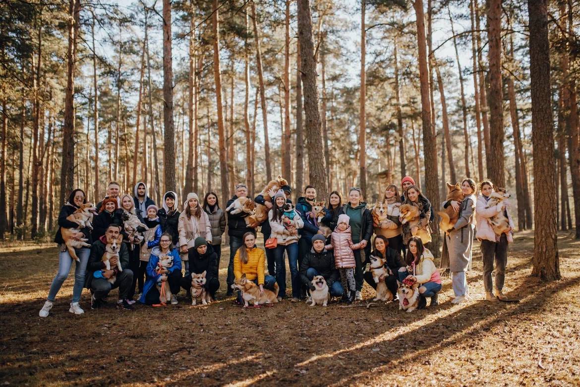 Помните, когда состоялась первая корги-туса во Владимире? Практически год назад! Дебютный костюмированный ивент Татьяны Ванькиной был приурочен ко Дню Всех Святых. И к грядущему Хэллоуину организатор подготовилась. Праздник обещает быть более масштабным, чем все предыдущие! Развлечения для человеков тоже запланированы, поэтому ныряйте в текст и соответственно программе мероприятия корректируйте свои планы на 30 октября.