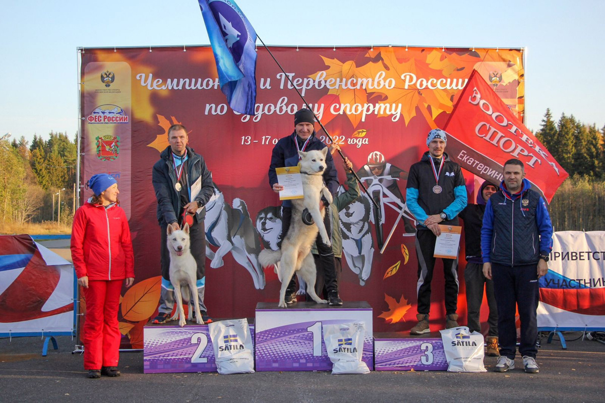 Сразу восемь наград высшей пробы привезла сборная 33-го региона с чемпионата страны по ездовому спорту. На старт вышли люди и собаки. И друг друга они не подвели. В бесснежных дисциплинах наша команда выступила на отлично.