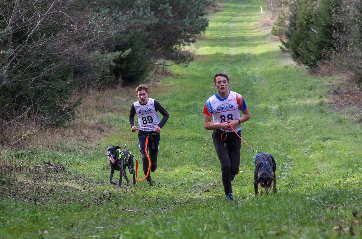 Сразу восемь наград высшей пробы привезла сборная 33-го региона с чемпионата страны по ездовому спорту. На старт вышли люди и собаки. И друг друга они не подвели. В бесснежных дисциплинах наша команда выступила на отлично.