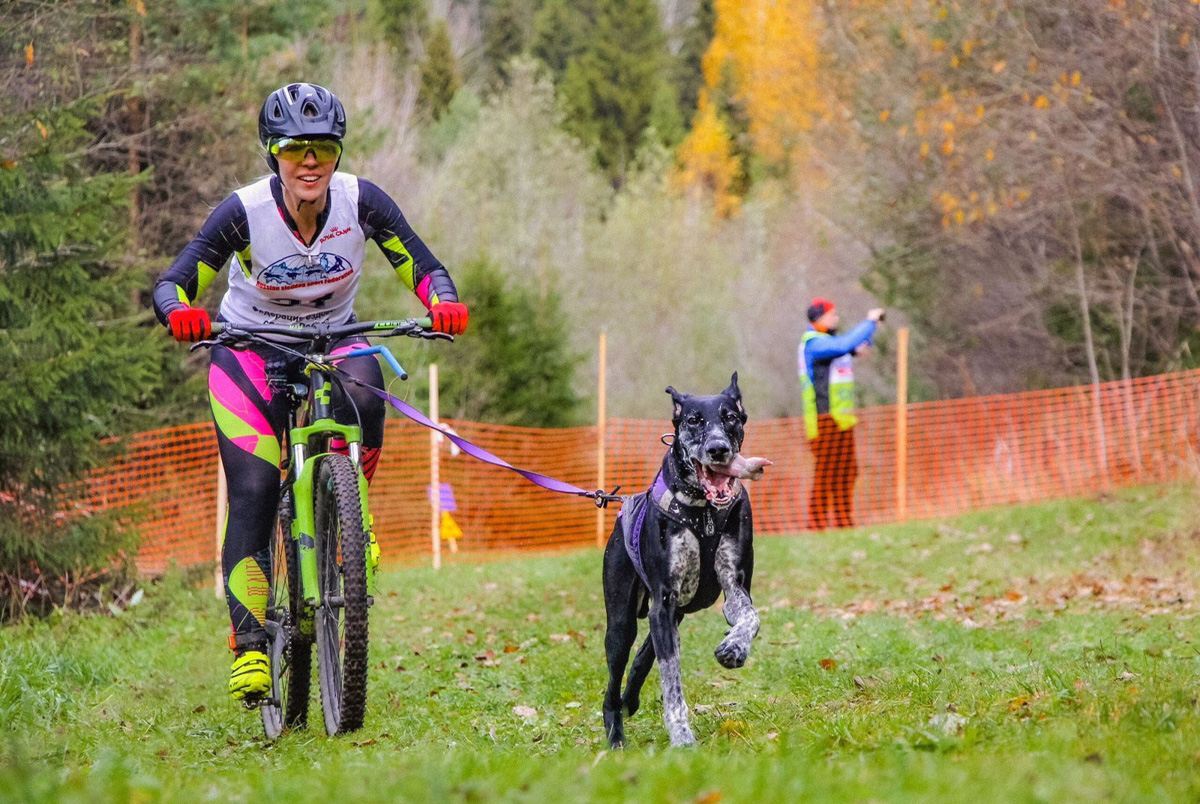 Сразу восемь наград высшей пробы привезла сборная 33-го региона с чемпионата страны по ездовому спорту. На старт вышли люди и собаки. И друг друга они не подвели. В бесснежных дисциплинах наша команда выступила на отлично.