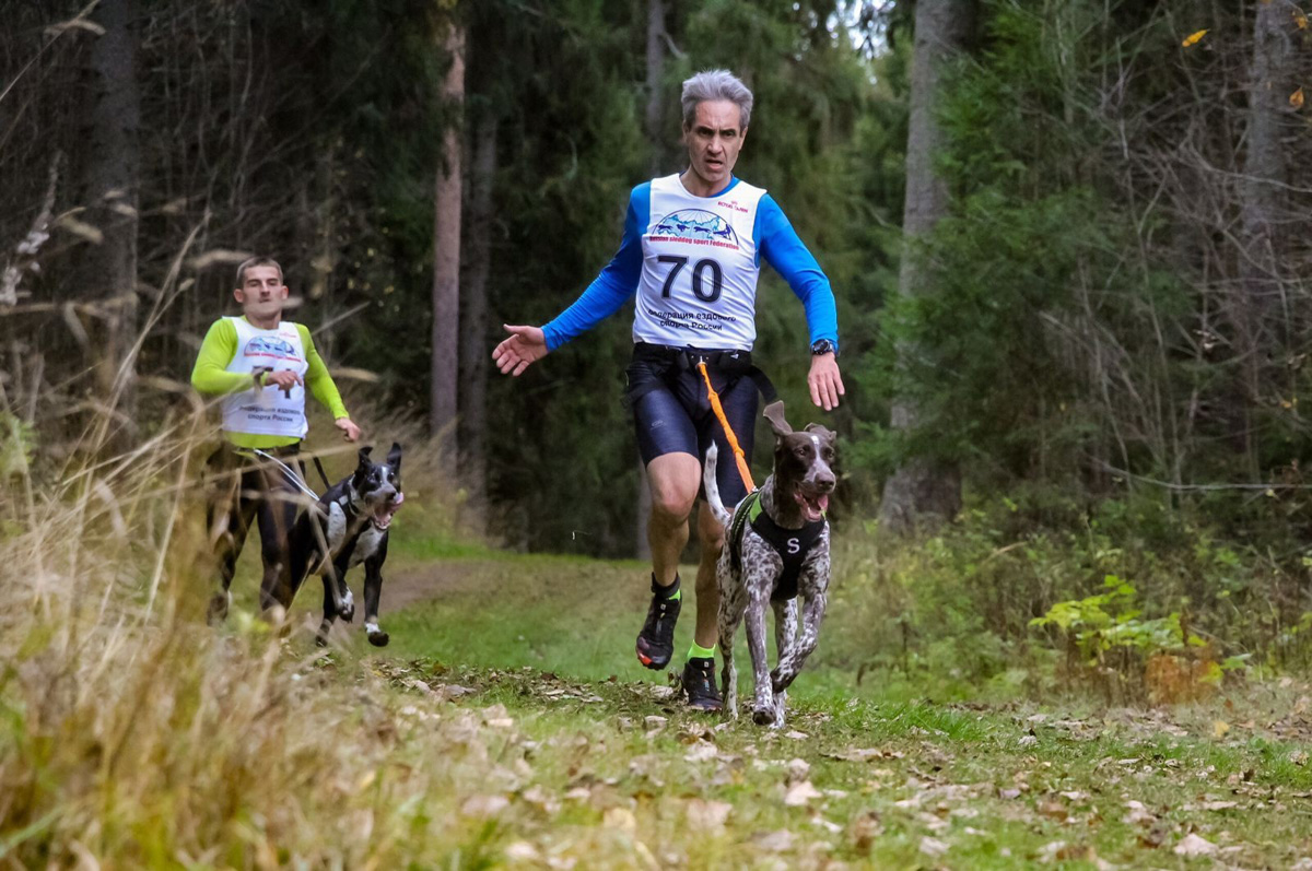 Сразу восемь наград высшей пробы привезла сборная 33-го региона с чемпионата страны по ездовому спорту. На старт вышли люди и собаки. И друг друга они не подвели. В бесснежных дисциплинах наша команда выступила на отлично.