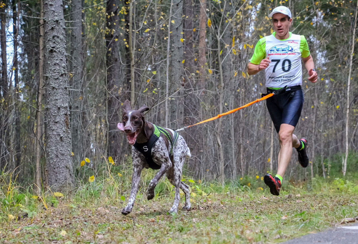 Сразу восемь наград высшей пробы привезла сборная 33-го региона с чемпионата страны по ездовому спорту. На старт вышли люди и собаки. И друг друга они не подвели. В бесснежных дисциплинах наша команда выступила на отлично.