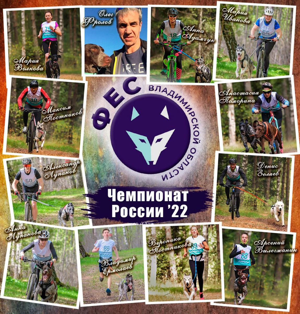 Сразу восемь наград высшей пробы привезла сборная 33-го региона с чемпионата страны по ездовому спорту. На старт вышли люди и собаки. И друг друга они не подвели. В бесснежных дисциплинах наша команда выступила на отлично.