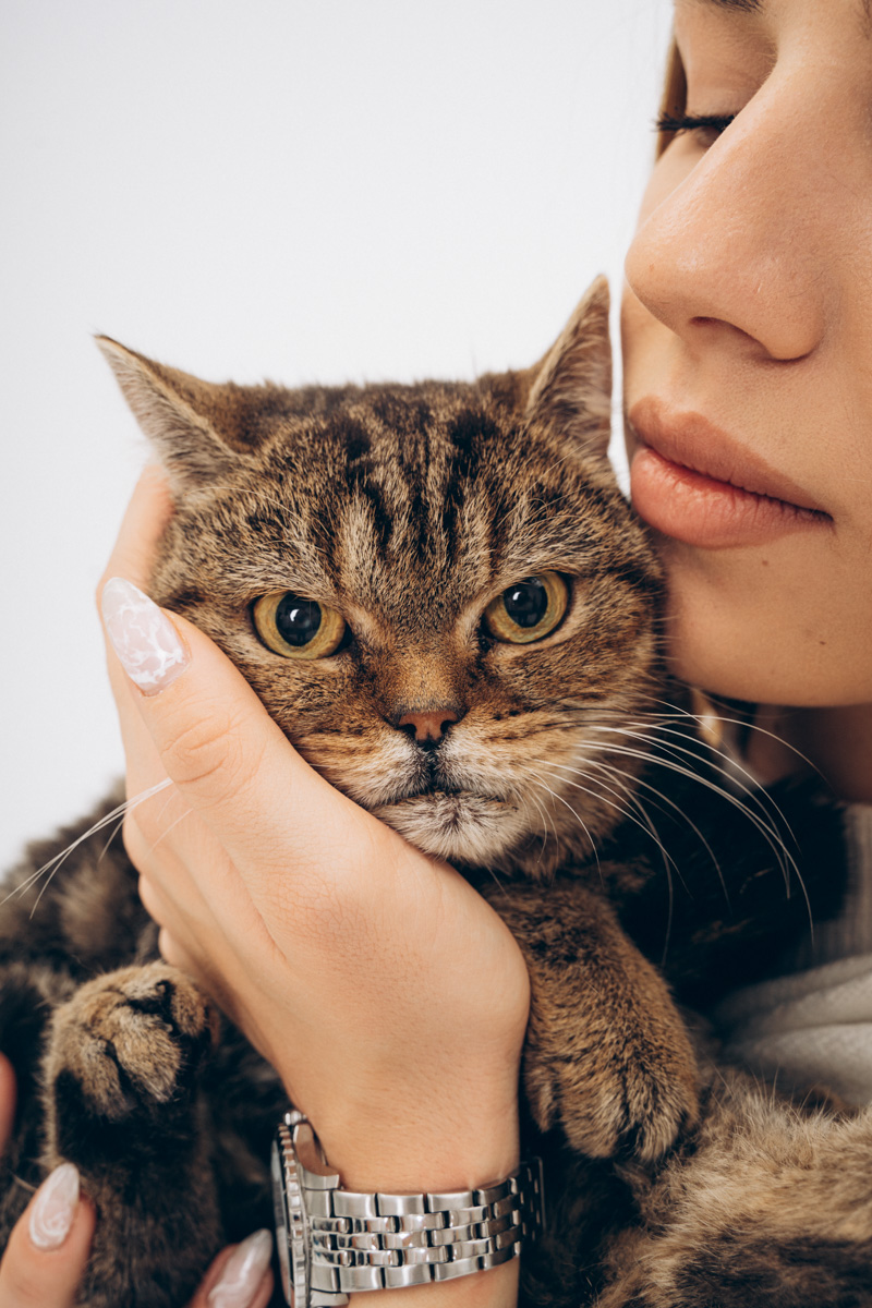 Недавно супруги и владельцы владимирской фотостудии провели благотворительную фотосессию для одного из местных приютов. Хвостатые и усатые модели поработали в кадре вместе с профессиональной моделью из мира людей, чтобы привлечь внимание общественности к проблеме бездомных животных. И у проекта еще будет продолжение!