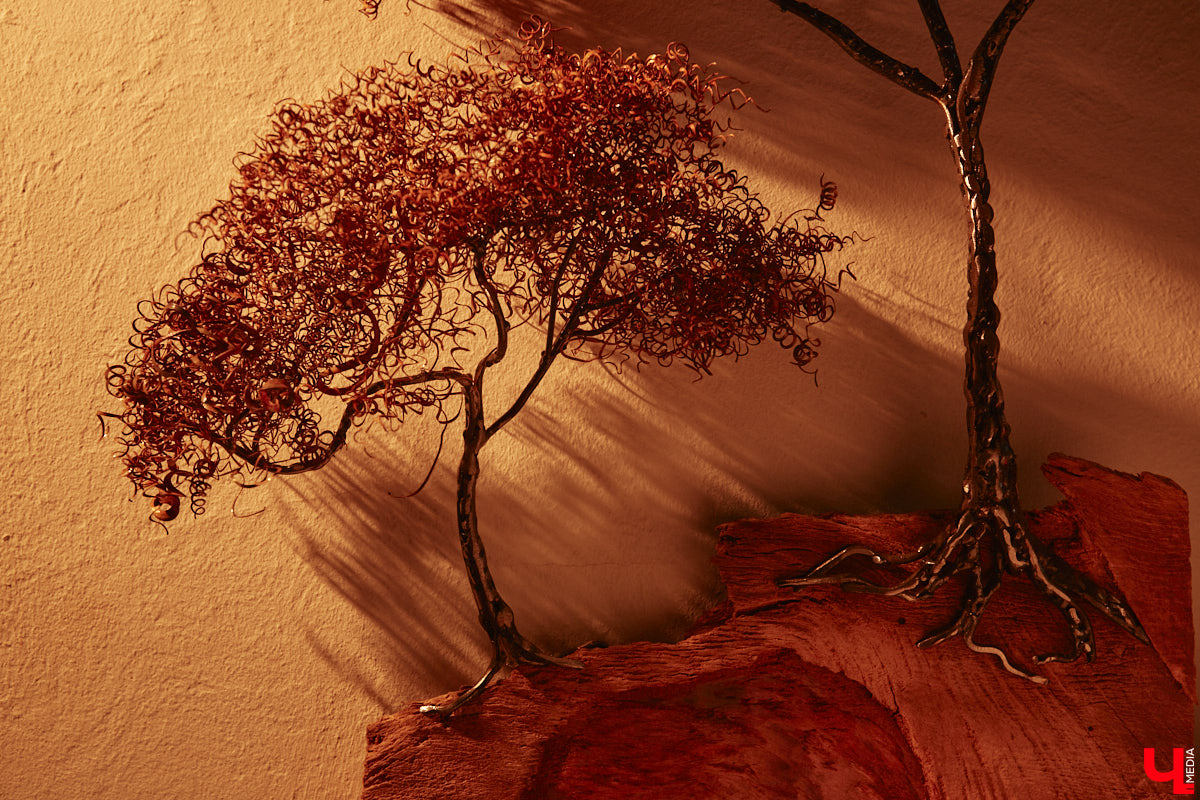 Красота осеннего леса вдохновила владимирского скульптора Михаила Блинова на цикл новых работ. Картину волшебной природы мастер воссоздал с помощью дерева, металла и стали. Наше издание первым увидело удивительные панно в мастерской художника.