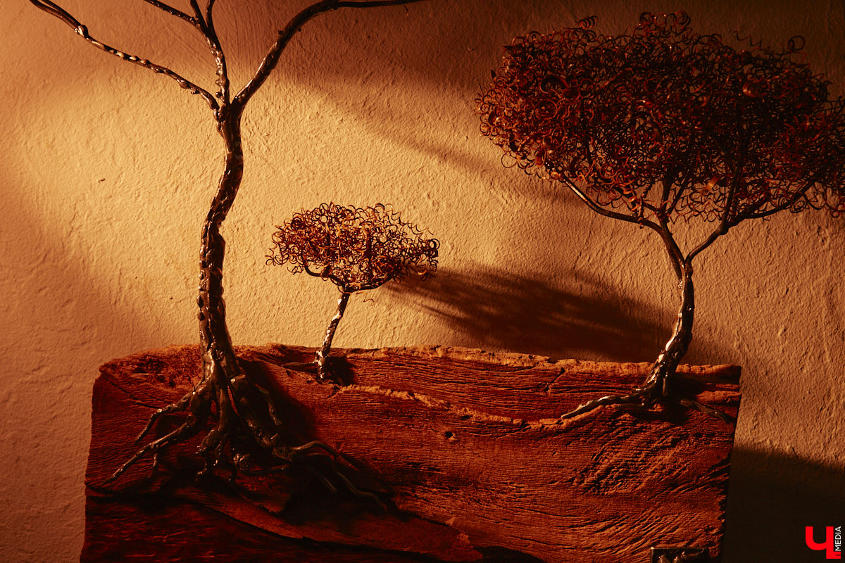 Красота осеннего леса вдохновила владимирского скульптора Михаила Блинова на цикл новых работ. Картину волшебной природы мастер воссоздал с помощью дерева, металла и стали. Наше издание первым увидело удивительные панно в мастерской художника.