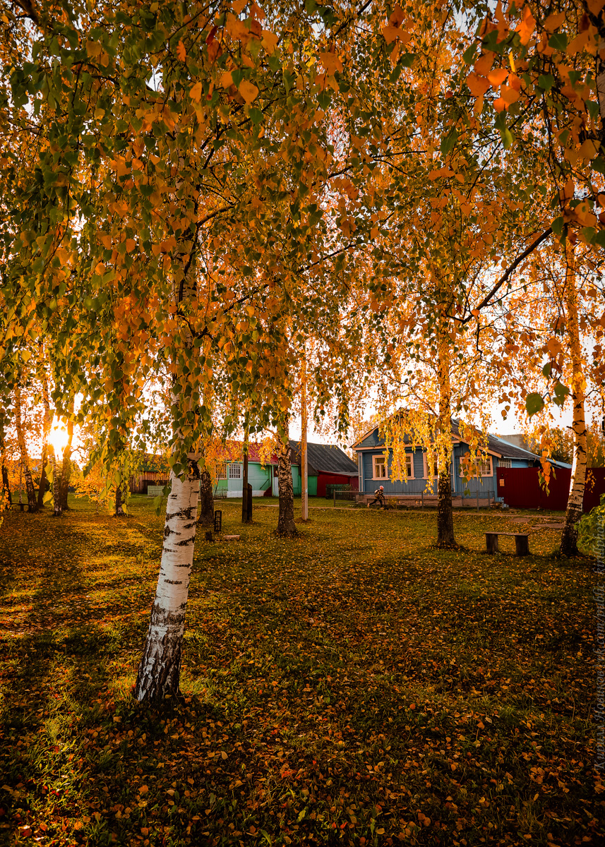 Любой фотограф на вопрос «Что такое осень?» ответит, в первую очередь, что это возможность сделать прекрасные кадры. Например, так считает Кирилл Новиков, который предоставил нам огромное количество невероятно живописных снимков региона, раскрашенного золотыми красками.