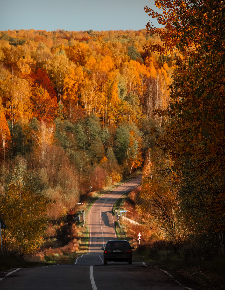 Любой фотограф на вопрос «Что такое осень?» ответит, в первую очередь, что это возможность сделать прекрасные кадры. Например, так считает Кирилл Новиков, который предоставил нам огромное количество невероятно живописных снимков региона, раскрашенного золотыми красками.