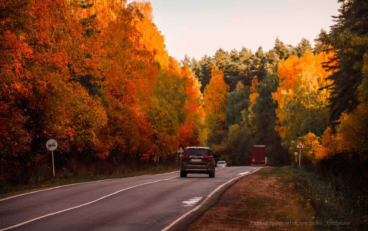 Любой фотограф на вопрос «Что такое осень?» ответит, в первую очередь, что это возможность сделать прекрасные кадры. Например, так считает Кирилл Новиков, который предоставил нам огромное количество невероятно живописных снимков региона, раскрашенного золотыми красками.