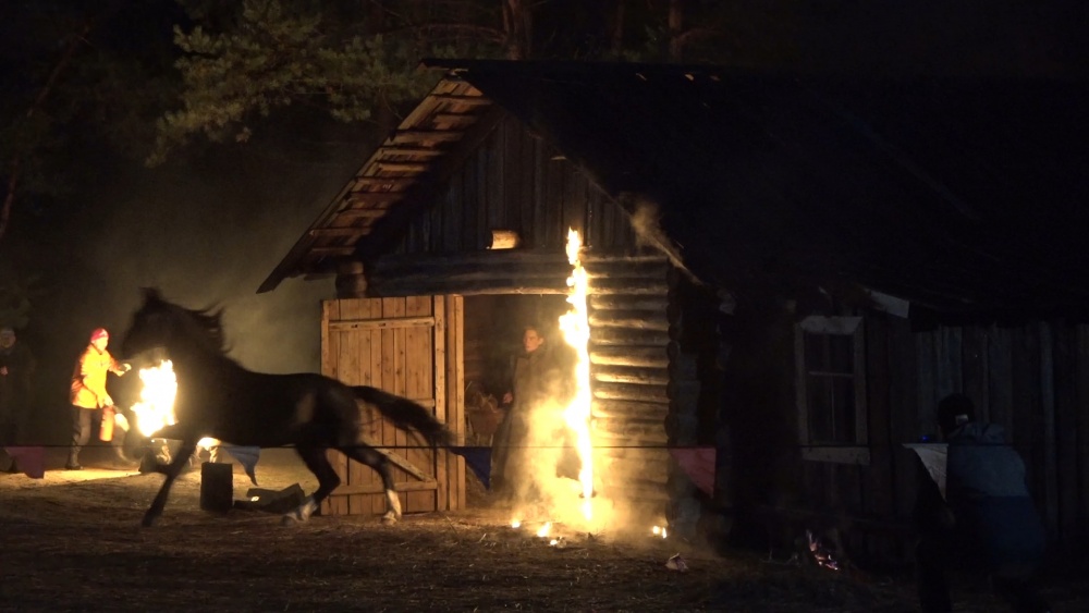 Съемки мини-сериала «Птица счастья» подошли к концу. Большую часть сцен отсняли в Суздале. В кадр попали Княжеский корпус Пушкарской слободы и Торговые ряды. Последней локацией стали окрестности деревни Погребищи Судогодского района. Участие в массовке и эпизодах приняли многие жители Владимирской области. Некоторые из них поделились впечатлениями о съемках.