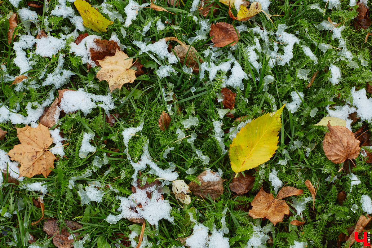 Синоптики не обманули – закрываем октябрь первым снегом, который засыпает город со вчерашнего дня. Но впереди нас ожидает еще один осенний месяц. Что он нам готовит? Зимний расклад или все-таки типичную для межсезонья погоду?