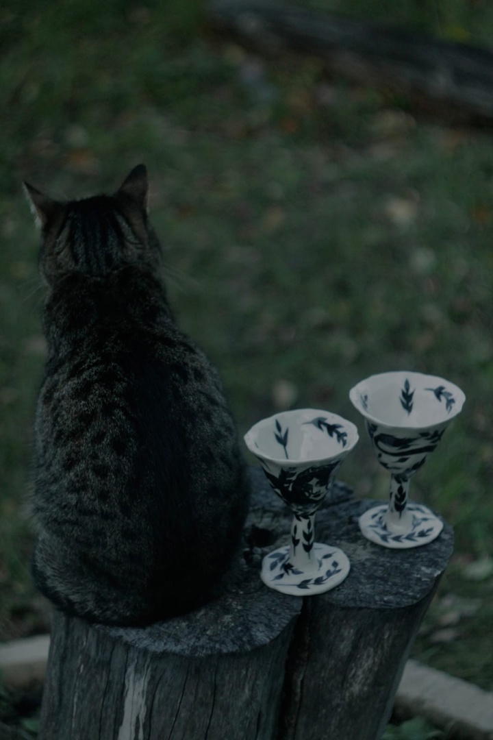 Тёмные девы, загадочные царевны, игривые русалки и смелые ведьмы... Все эти страшно красивые персонажи населяют вселенную художницы Анастасии Андрияновой из Суздаля. Они словно вышли из страшных русских сказок или произведений Гоголя и теперь живут на панно, керамике, футболках, шоперах, брошах, открытках, блокнотах и постерах. В канун «не нашего» Хэллоуина предлагаем полюбоваться на героинь, вдохновлённых чисто русской хтонью.