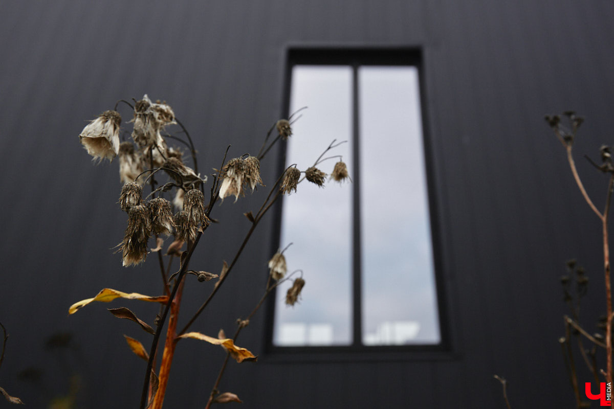 В конце сентябре 2022 года фотограф Юлия Алферова вместе с супругом переехала в свой новый дом под Владимиром. Мы немедленно напросились к ней в гости, чтобы показать вам, как круто может выглядеть современная жилая постройка, выполненная в стиле скандинавского минимализма.