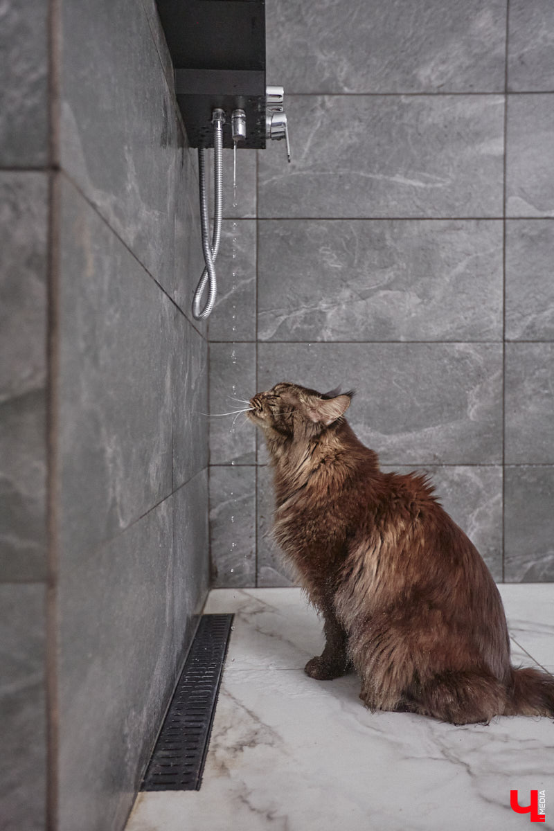 В конце сентябре 2022 года фотограф Юлия Алферова вместе с супругом переехала в свой новый дом под Владимиром. Мы немедленно напросились к ней в гости, чтобы показать вам, как круто может выглядеть современная жилая постройка, выполненная в стиле скандинавского минимализма.