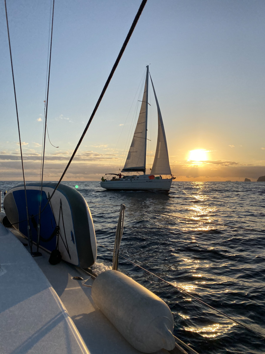 Плавание в компании дельфинов под огромной луной, шикарные восходы и закаты и даже извержение вулкана, которое можно наблюдать прямо с воды! О своих удивительных приключениях яхтенный капитан Наталья Шульга из Владимира поведала нашему изданию.