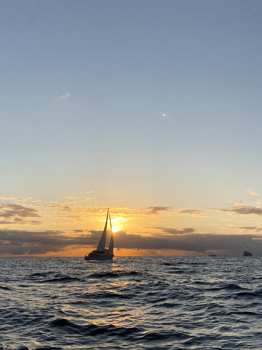 Плавание в компании дельфинов под огромной луной, шикарные восходы и закаты и даже извержение вулкана, которое можно наблюдать прямо с воды! О своих удивительных приключениях яхтенный капитан Наталья Шульга из Владимира поведала нашему изданию.