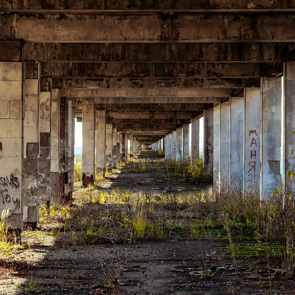 Телеграм-канал «Чей-то дрон» опубликовал новую серию снимков, выбрав на сей раз в качестве интересной локации заброшенные платформы суздальского автовокзала.