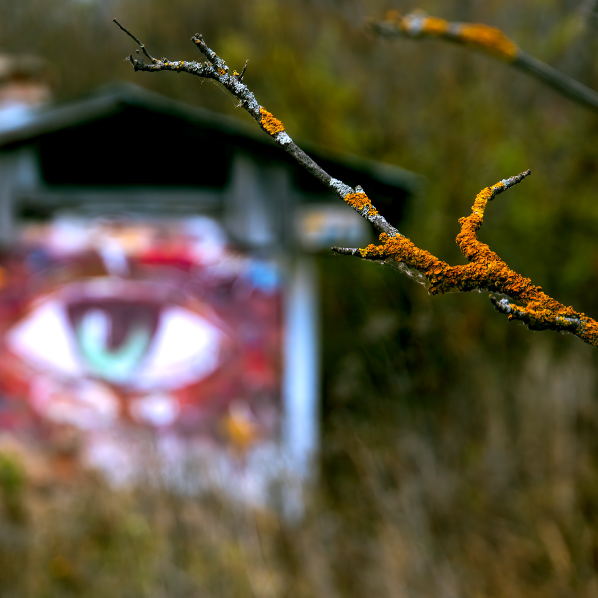 Телеграм-канал «Чей-то дрон» опубликовал новую серию снимков, выбрав на сей раз в качестве интересной локации заброшенные платформы суздальского автовокзала.