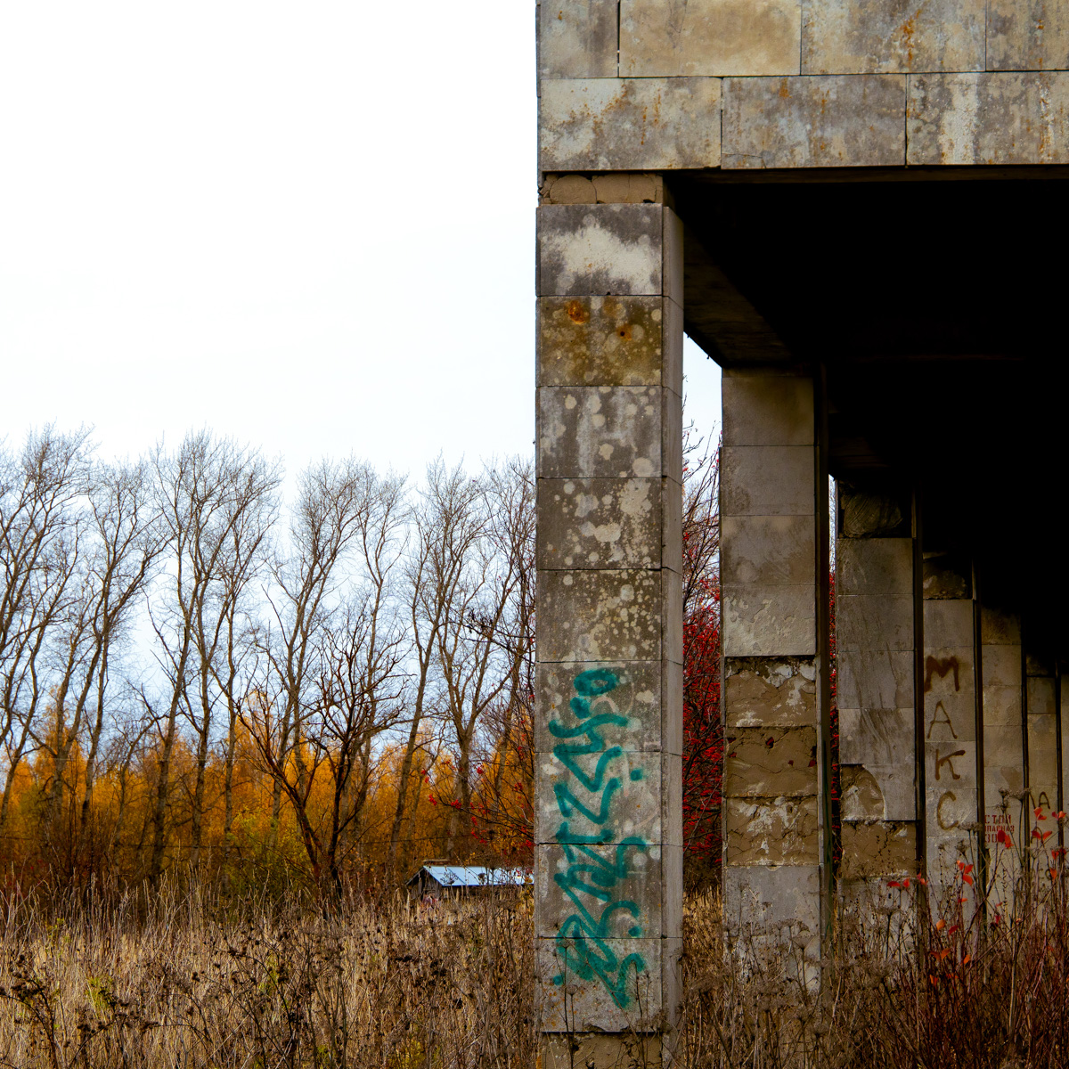 Телеграм-канал «Чей-то дрон» опубликовал новую серию снимков, выбрав на сей раз в качестве интересной локации заброшенные платформы суздальского автовокзала.