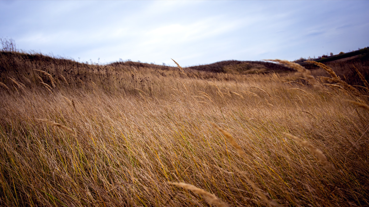 Телеграм-канал «Чей-то дрон» опубликовал новую серию снимков, выбрав на сей раз в качестве интересной локации заброшенные платформы суздальского автовокзала.