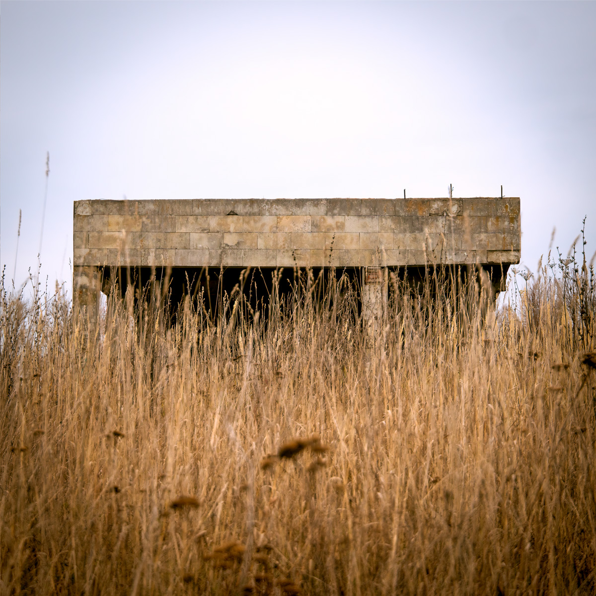 Телеграм-канал «Чей-то дрон» опубликовал новую серию снимков, выбрав на сей раз в качестве интересной локации заброшенные платформы суздальского автовокзала.