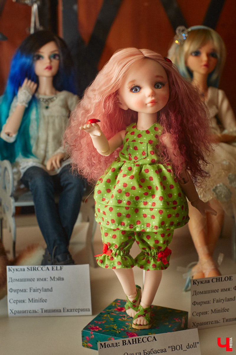 В минувшие выходные во Владимире состоялся второй камерный фестиваль «КуклУникум». На нем собрались не только местные коллекционеры, но и мастера со всего региона. «Ключ-Медиа» прошелся по «Княжеским палатам» и поближе рассмотрел большую часть авторских кукол. 