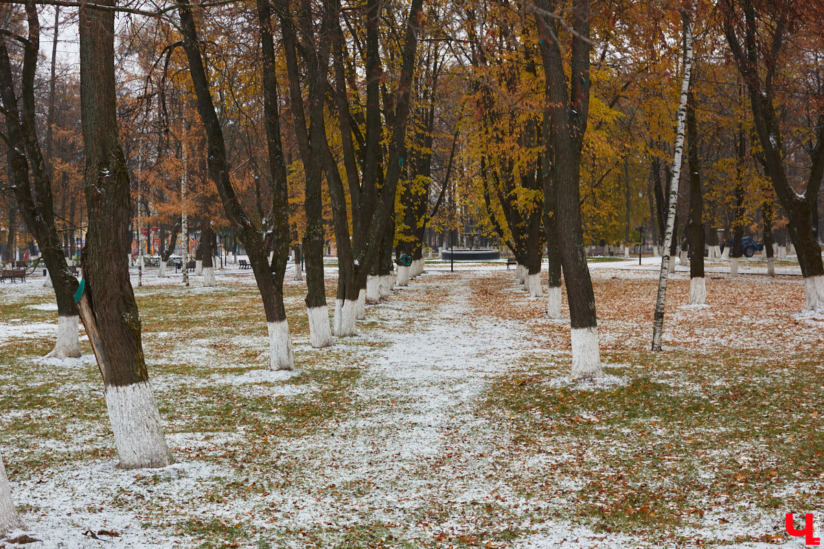 В 33-м регионе стартовала метеорологическая зима, следствием которой станут постепенное понижение температуры воздуха и первые значимые снегопады. А посему внушительных сугробов нам не миновать. И на этот раз снежный покров, скорее всего, уже останется в области до весны.