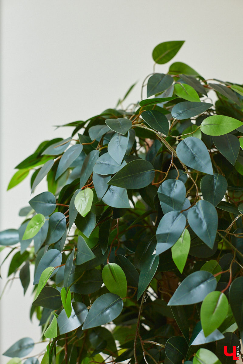 Как вы относитесь к искусственным растениям? Если скептически, то всего один взгляд на цветы и деревья от Елены Шестаковой может изменить ваше мнение о них. Владимирский флорист-любитель декорирует интерьер тем, что создает своими руками.