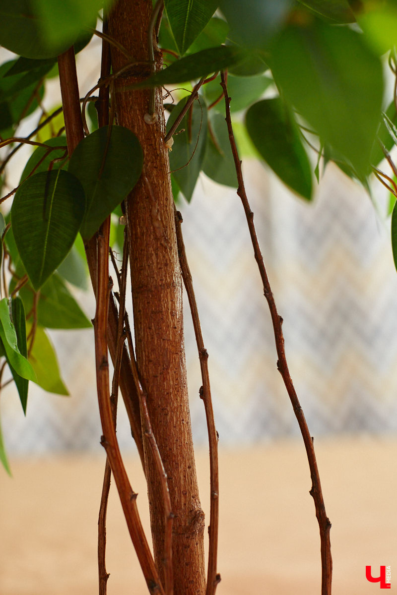 Как вы относитесь к искусственным растениям? Если скептически, то всего один взгляд на цветы и деревья от Елены Шестаковой может изменить ваше мнение о них. Владимирский флорист-любитель декорирует интерьер тем, что создает своими руками.