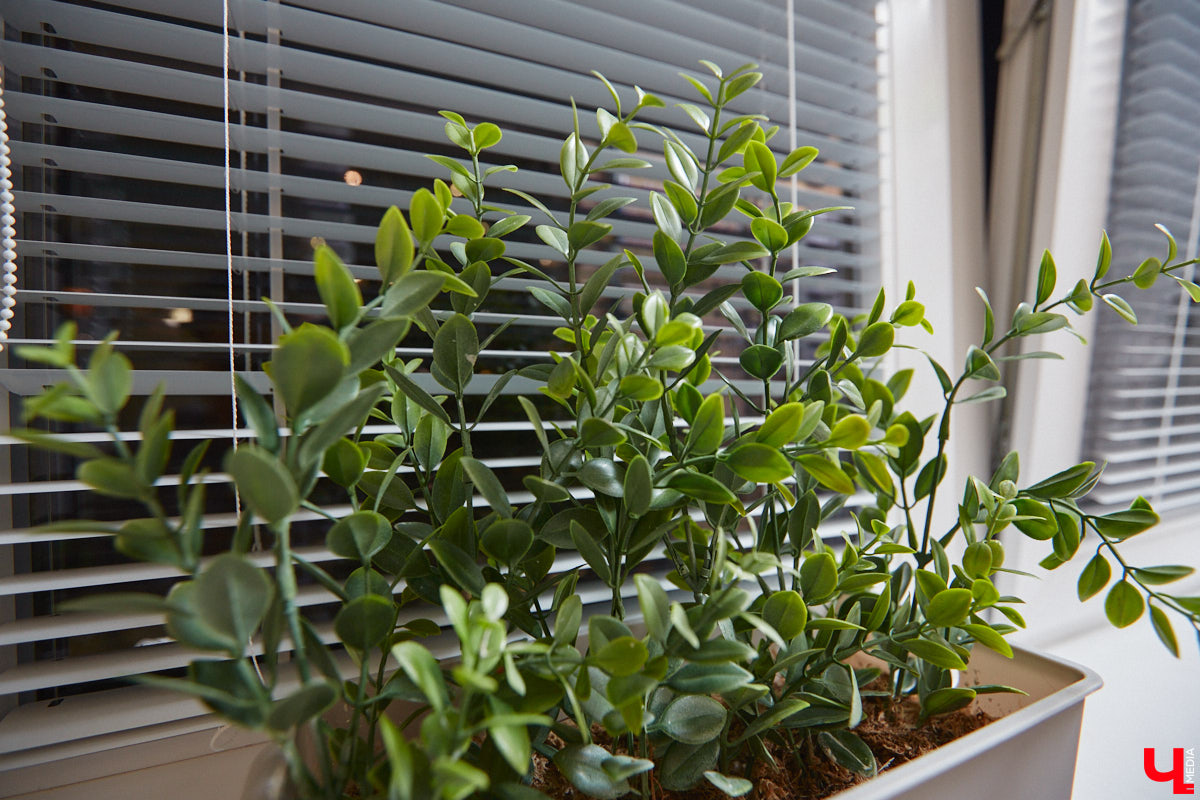 Как вы относитесь к искусственным растениям? Если скептически, то всего один взгляд на цветы и деревья от Елены Шестаковой может изменить ваше мнение о них. Владимирский флорист-любитель декорирует интерьер тем, что создает своими руками.