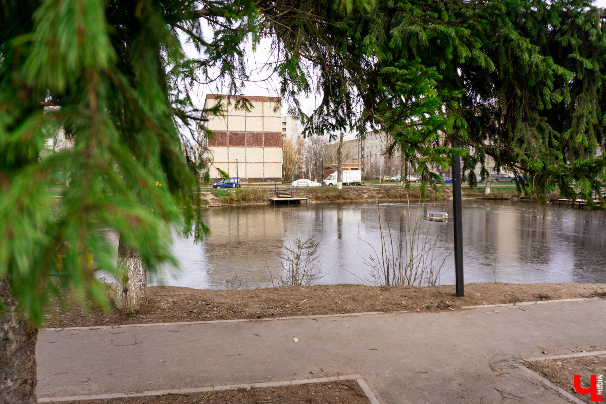 Платоновский пруд — место живописное и густонаселённое утками. Малоизвестный водоём военного городка напоминает широко известный Соловьиный, что возле ВлГУ. Особенно сейчас, после осеннего преображения: очищена вода, обновлены пешеходные дорожки, появились деревянные пирсы и мостик. Каким стал Платоновский пруд после благоустройства? Рассказываем и показываем в материале.