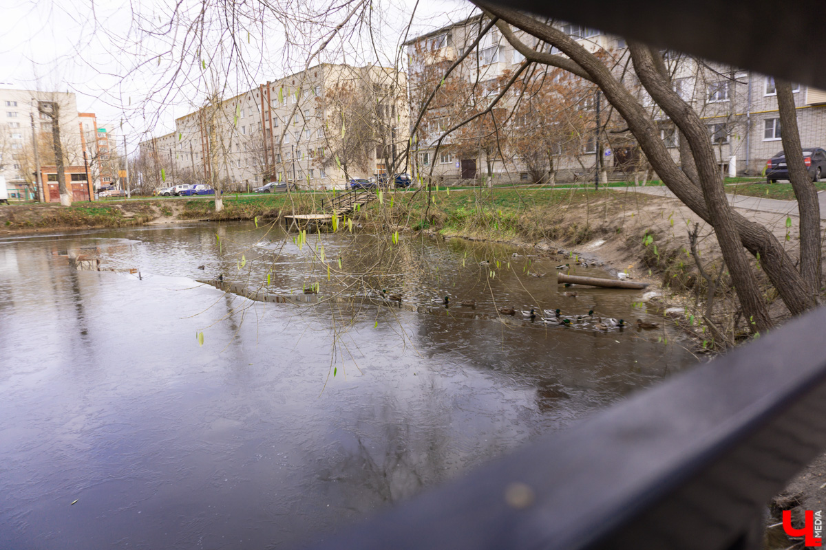 Платоновский пруд — место живописное и густонаселённое утками. Малоизвестный водоём военного городка напоминает широко известный Соловьиный, что возле ВлГУ. Особенно сейчас, после осеннего преображения: очищена вода, обновлены пешеходные дорожки, появились деревянные пирсы и мостик. Каким стал Платоновский пруд после благоустройства? Рассказываем и показываем в материале.