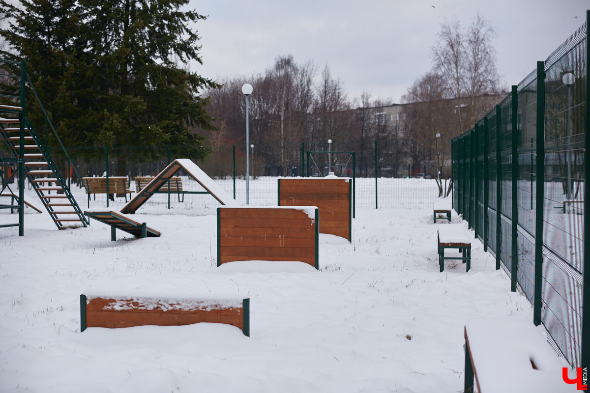 В Департаменте ветеринарии утвердили новые требования по содержанию домашних животных на территории Владимирской области, которые начнут действовать с 1 марта 2023 года. В них прописаны все нюансы по содержанию четвероногих любимцев. Но помогут ли они в реальности?