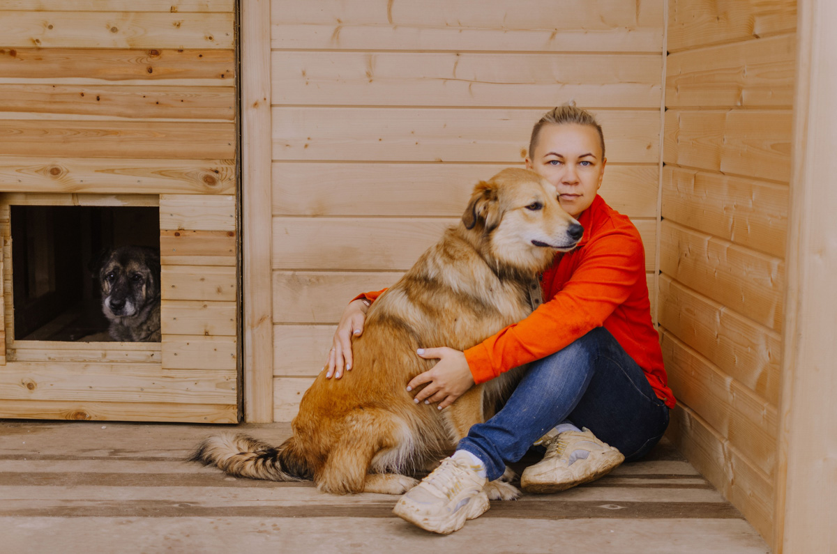 В Департаменте ветеринарии утвердили новые требования по содержанию домашних животных на территории Владимирской области, которые начнут действовать с 1 марта 2023 года. В них прописаны все нюансы по содержанию четвероногих любимцев. Но помогут ли они в реальности?