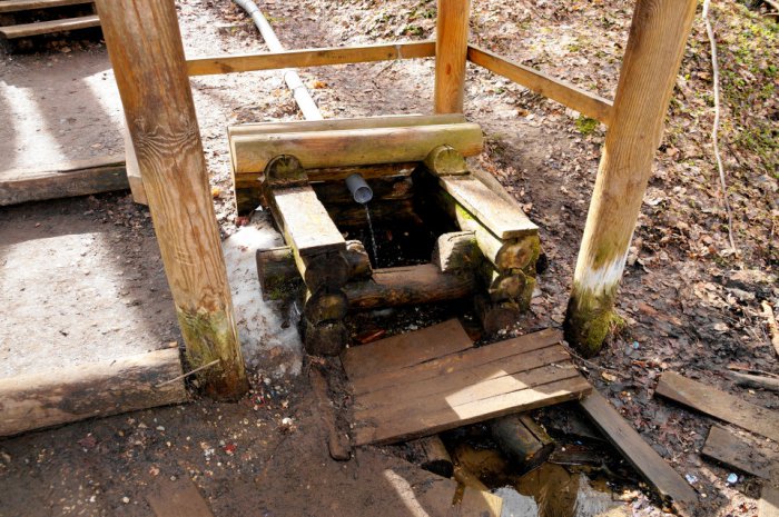 Во Владимире опубликовали исследования качества родниковой воды. Мониторинг провела администрация города. Анализы показали, какой же источник на данный момент самый чистый.