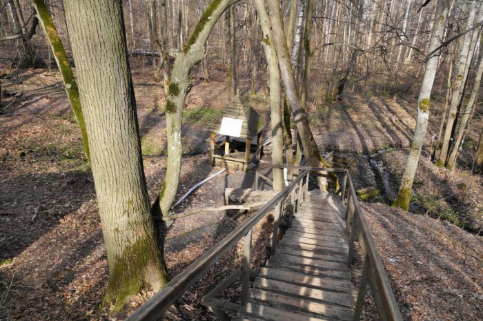 Во Владимире опубликовали исследования качества родниковой воды. Мониторинг провела администрация города. Анализы показали, какой же источник на данный момент самый чистый.