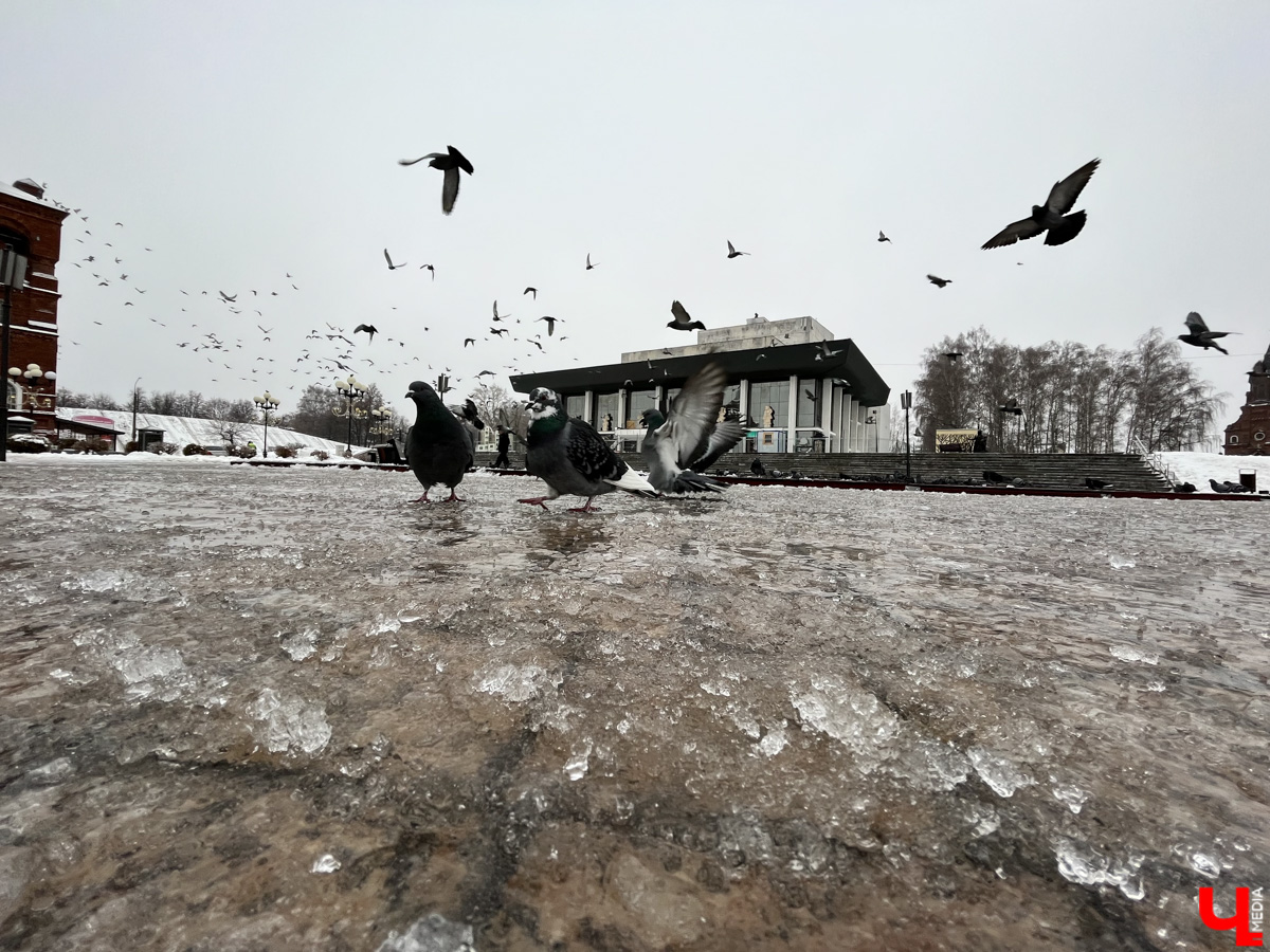 Вы уже успели ощутить на себе негативные последствия ледяного дождя? Но у него есть и обратная сторона, художественная. Всего за несколько часов деревья за окном превратились в «хрустальные». Ветки покрылись удивительным панцирем. Стоит добавить немного воображения, и можно, кажется, услышать, как они звенят.